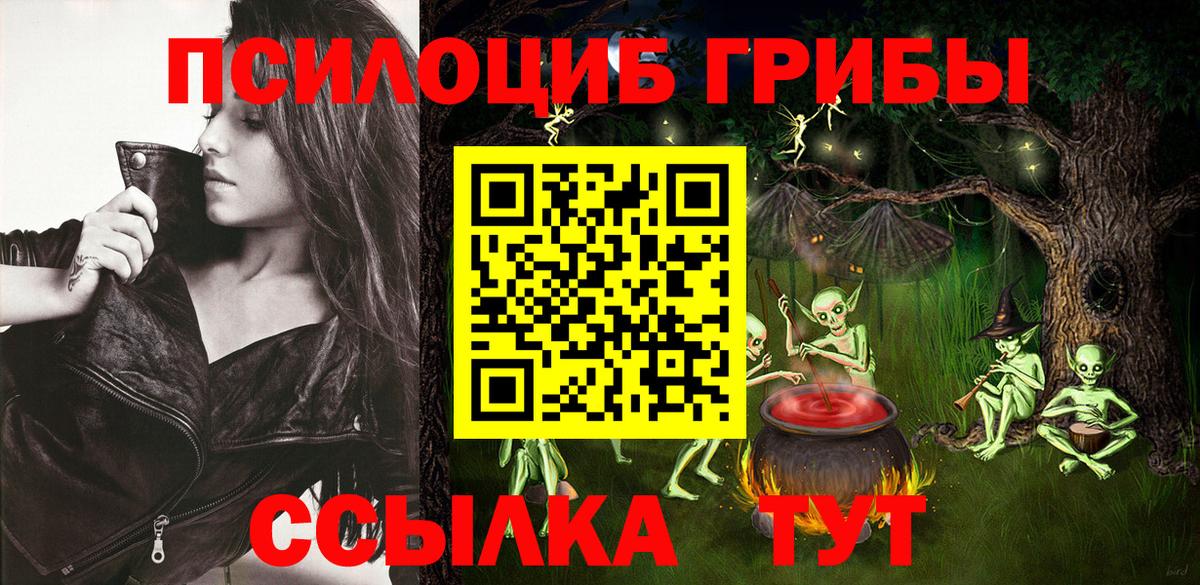 Псилоцибиновые грибы Psilocybe Якутск