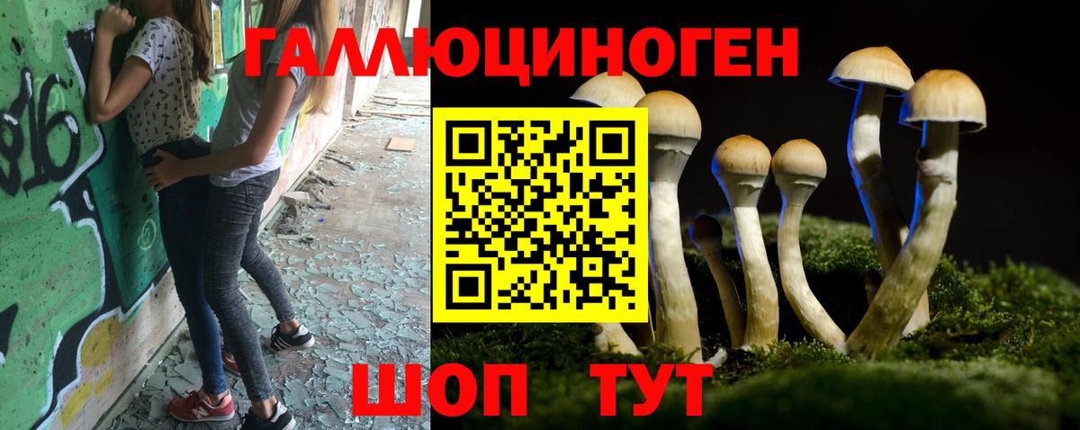 Галлюциногенные грибы Psilocybe  Вход с VPN  Галлюциногенные грибы Psilocybine cubensis  Якутск 